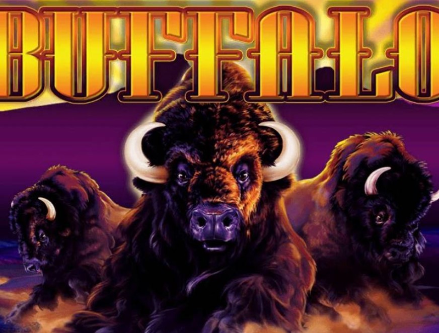 Buffalo Slot 3